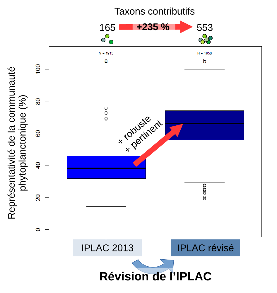 RevIPLAC_graphical abstract_20260113_fr-14_29_4.png
